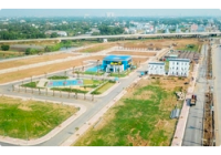 Điều kiện chuyển mục đích sử dụng đất trồng lúa, đất rừng sang thực hiện dự án